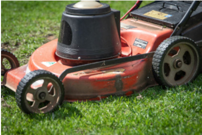 Yard Work